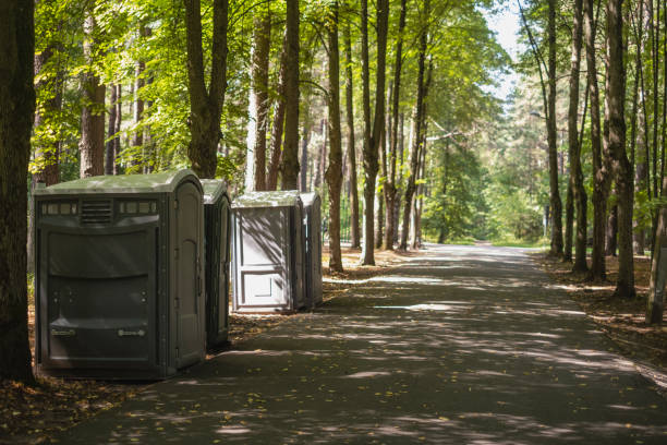 Best Porta potty rental near me  in Stepping Stone, CO